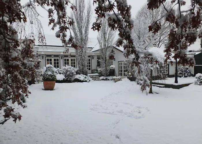 酒店 罗尔丹兰餐厅酒店 3*