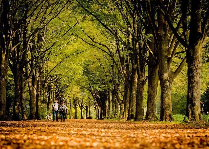 罗尔丹兰餐厅酒店 Posterholt